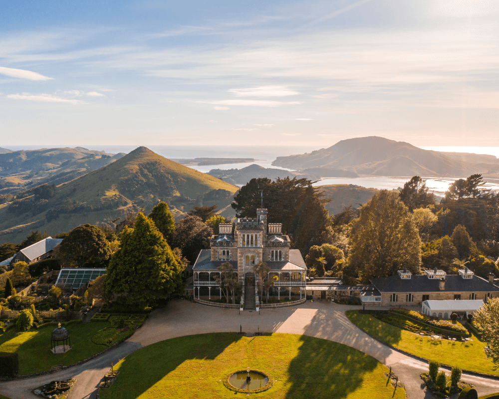 Your Go-To Guide to Dunedin