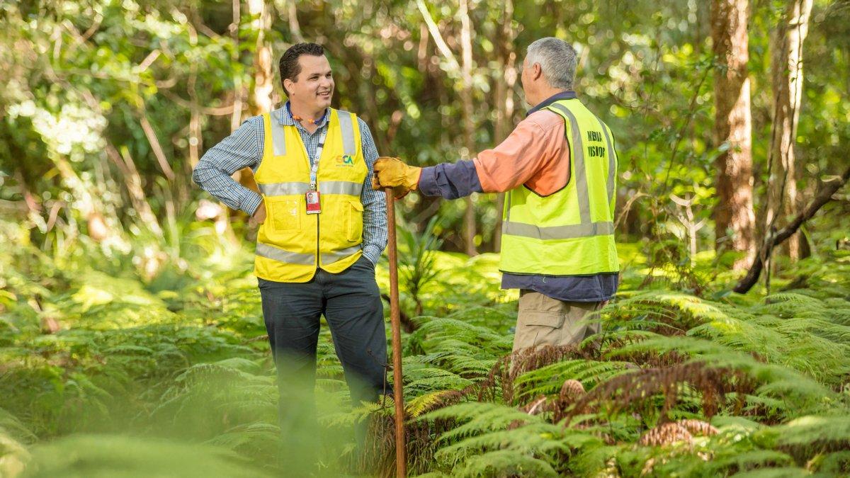 Two QAL employees in high-visibility vests standing among ferns in a forest, engaged in conversation during an environmental site visit.