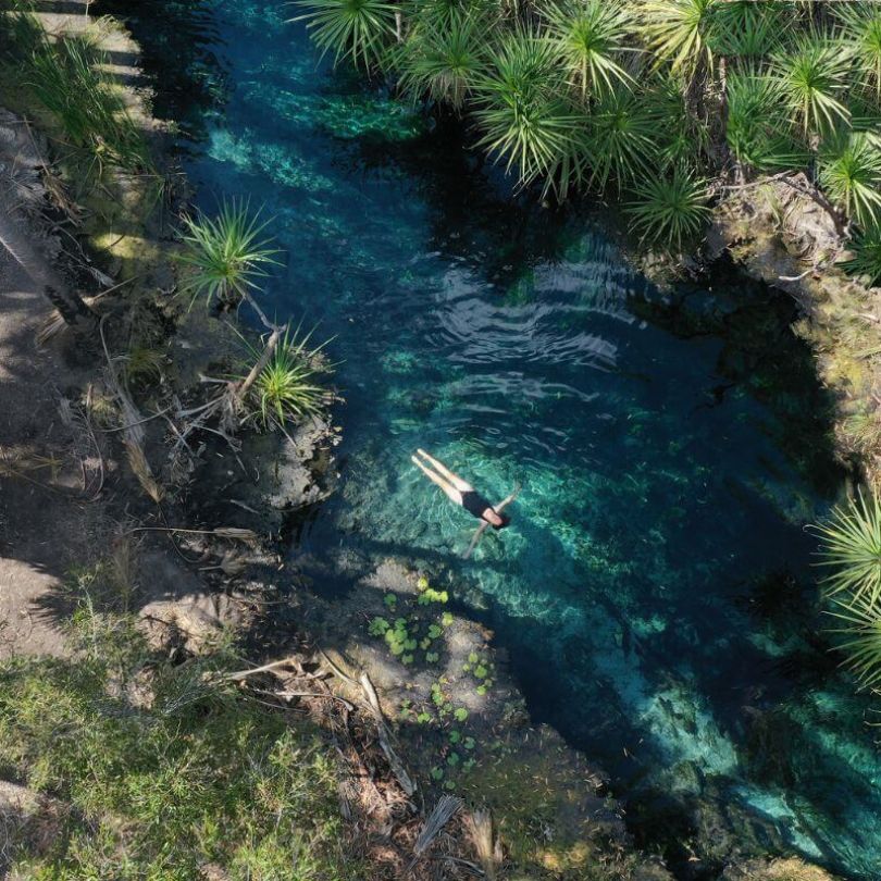 A person floats in the crystal-clear waters of a natural spring surrounded by lush tropical vegetation near Darwin, Northern Territory. The serene scene is framed by pandanus trees and rocky edges.