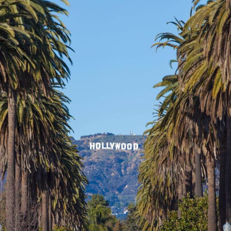 Iconic view of the Hollywood Sign in Los Angeles, California, framed by tall palm trees lining a street under a clear blue sky.