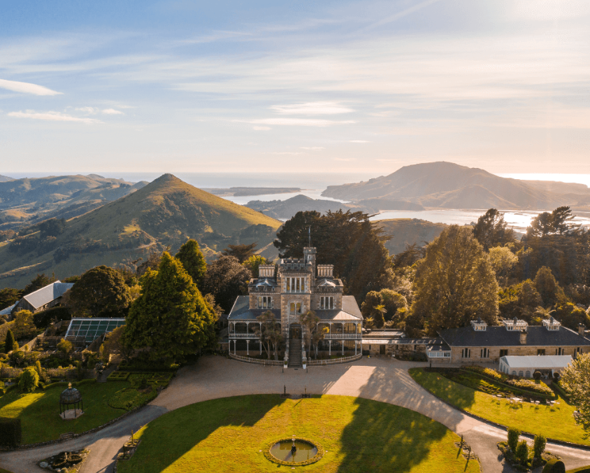 Your Go-To Guide to Dunedin