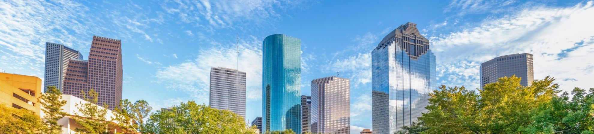 Houston Banner