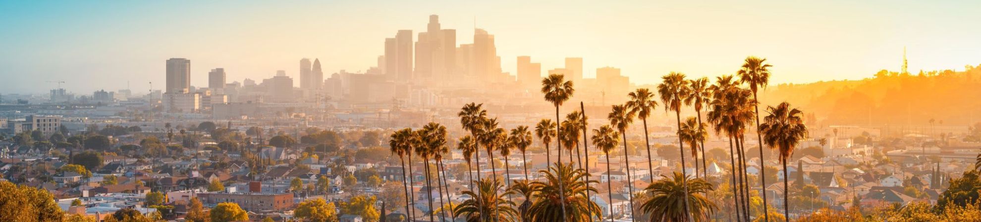 Los Angeles Banner