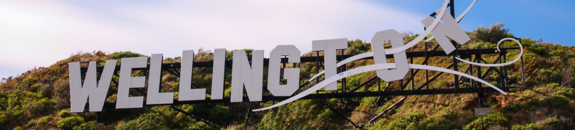 Wellington Banner