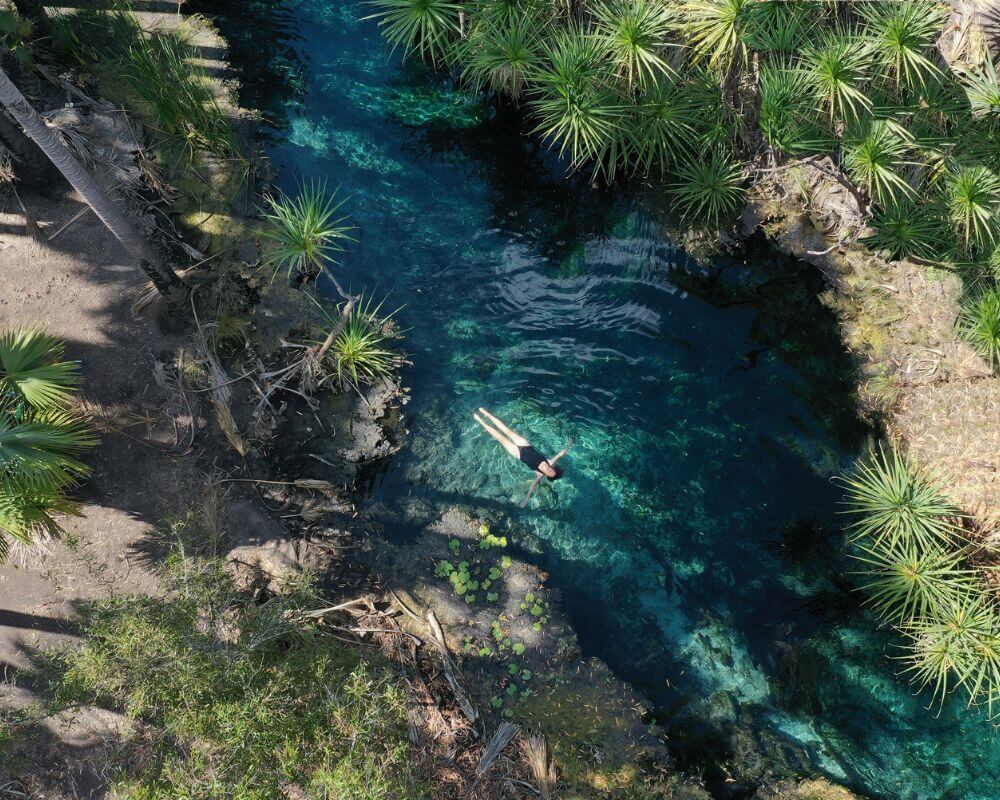 A person floats in the crystal-clear waters of a natural spring surrounded by lush tropical vegetation near Darwin, Northern Territory. The serene scene is framed by pandanus trees and rocky edges.