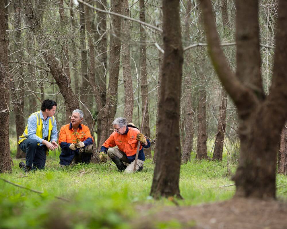  Three people kneel in a forested area, engaged in conversation. Two individuals wear high-visibility orange work shirts and gloves, with one holding a small sapling. The third person, dressed in a yellow safety vest, listens attentively. The setting is a lush, wooded environment with tall trees and green grass.