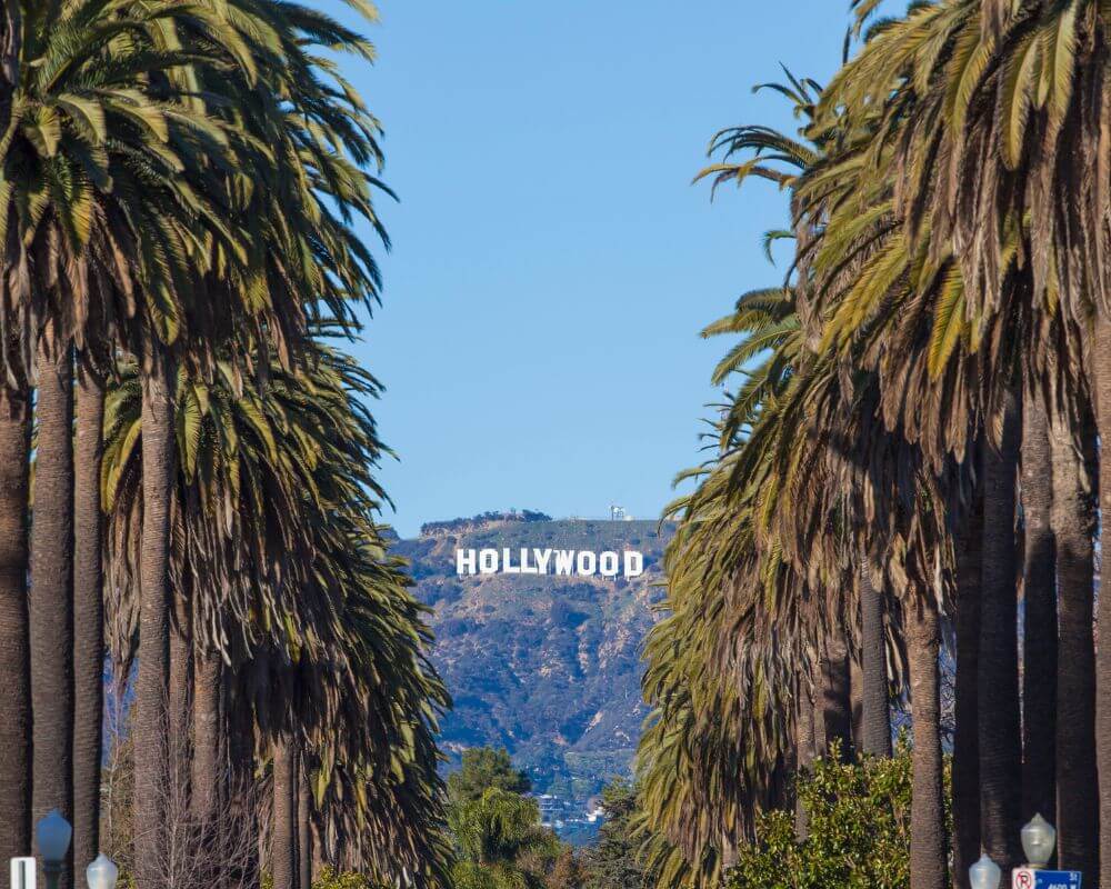 Iconic view of the Hollywood Sign in Los Angeles, California, framed by tall palm trees lining a street under a clear blue sky.
